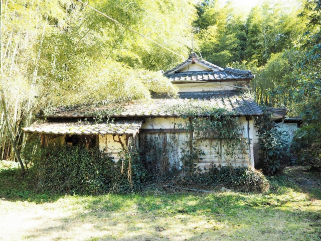 不法投棄防止の空き地管理と防犯対策