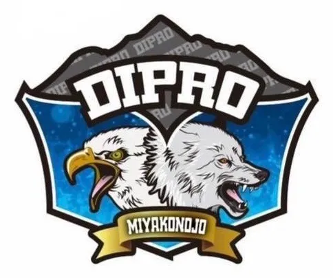 DIPRO都城